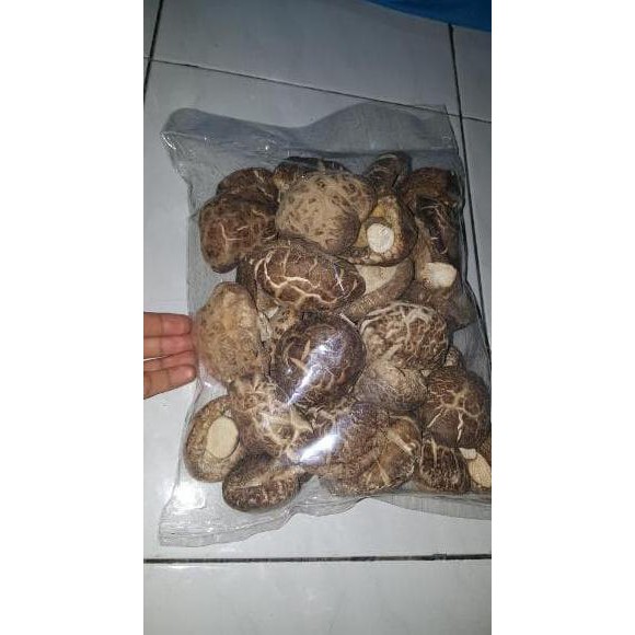 

Promo !! JAMUR SHITAKE KERING 500gr HIOKU WANGII Terbaru