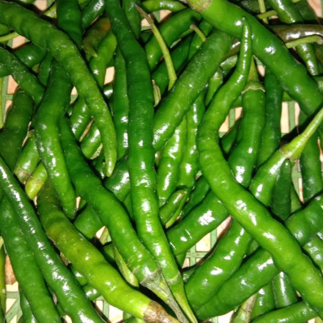 

Cabe keriting hijau