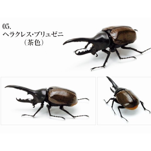 Must Have Gashapon Kabutomushi 05 Bruzeni Brown Beetle - Dangomushi Gacha Bandai Terbaru