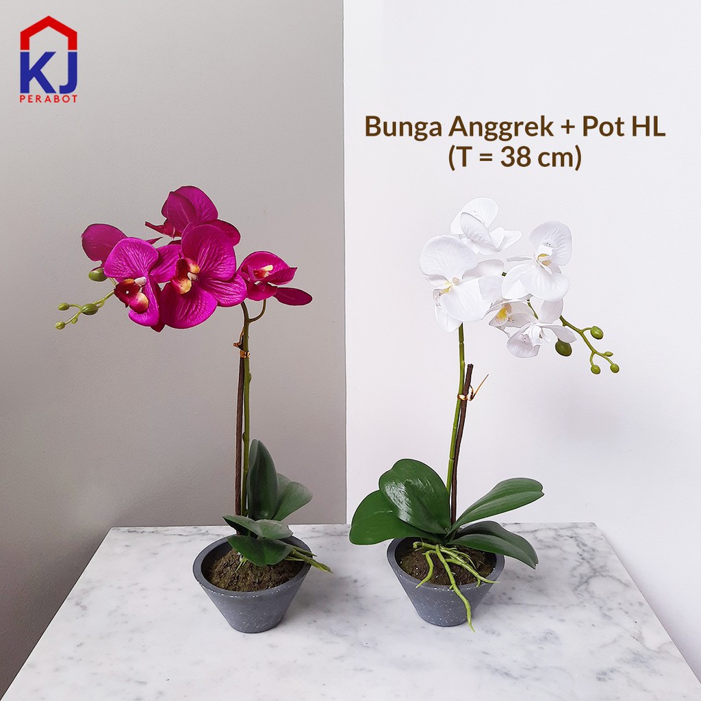 Bunga Anggrek Pot Hl T 38cm Shopee Indonesia