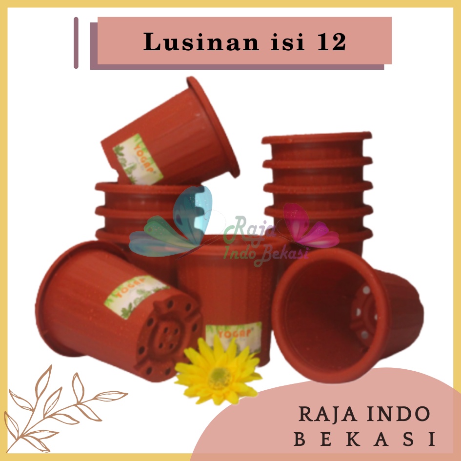 LUSINAN Pot Yogap 8 Putih Transparan Bening Merah Bata Coklat Orange Isi 12 pcs Pot Yogap 10 13 15 17 18 19 Pot Yogap Bening LUSINAN POT YOGAP MURAH