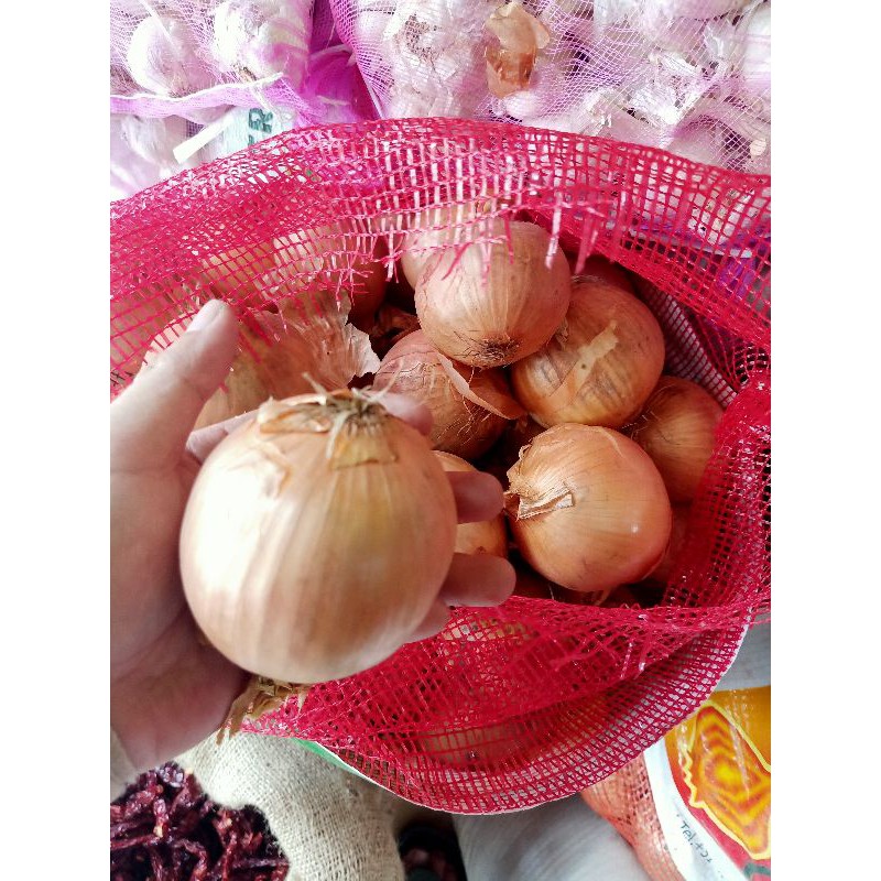 

bawang bombai bombay Jumbo Import New Zealand 500G Setengah Kilo DIJAMIN FRESH!