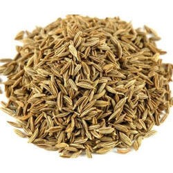 

JINTEN/ORGANIC CUMIN SEED 100 GRAM