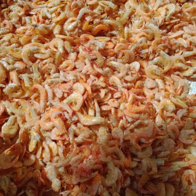 

Udang asin 500 gr