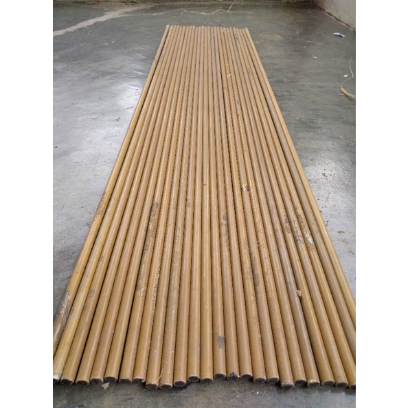 Carbon sutet mentah 50cm