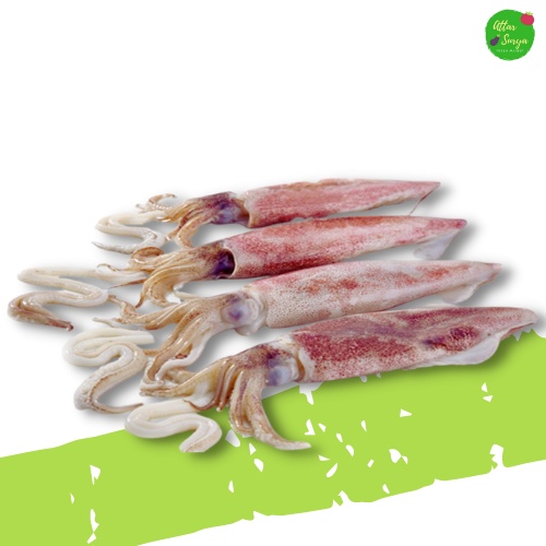 Cumi Segar 500 Gram