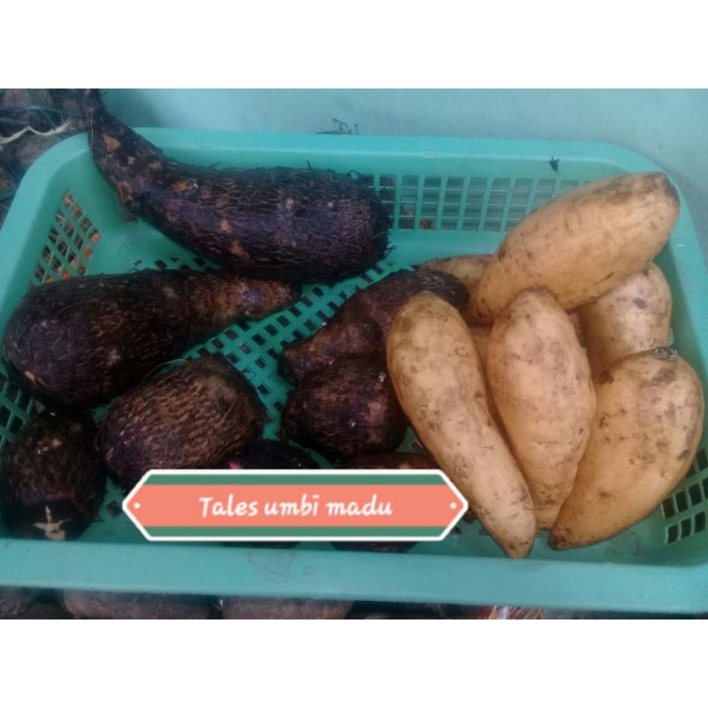 

1paket umbi jadul
