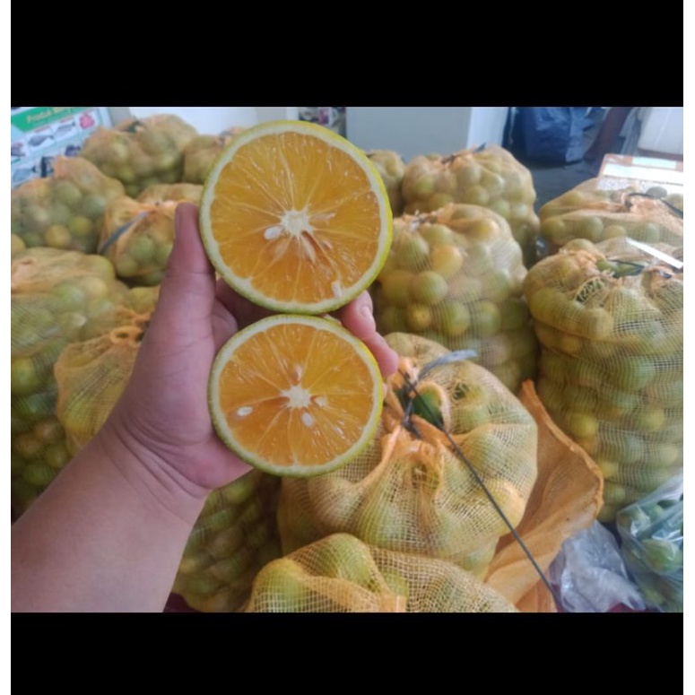 

Jeruk Baby Java Malang Manis (Only Surabaya)