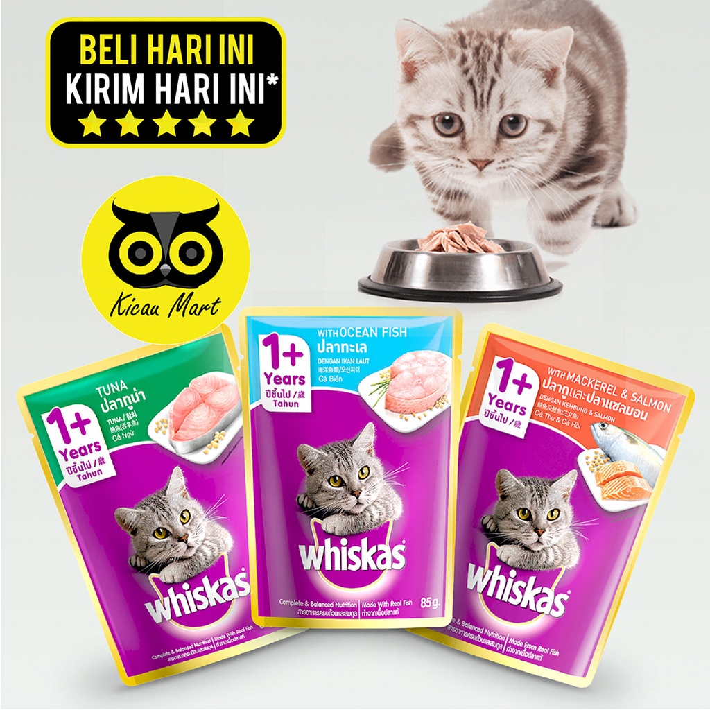 Whiskas Wet Cat Food Makanan Cemilan Snack Kucing Basah Kemasan Saset Pouch 80 Gram Cat Snack Premium Makanan Kucing Anabul Kitten Adult Cat Treats