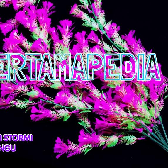 ♞ Bunga Plastik /Daun Rambat Plastik/ Daun Plastik/ Stormi Kuning - Putih ⅎ