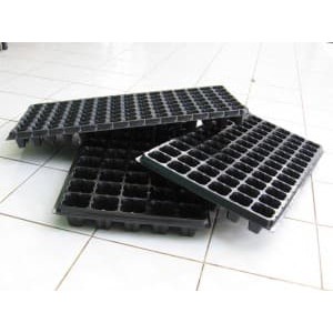 Tray Semai 105 Lubang