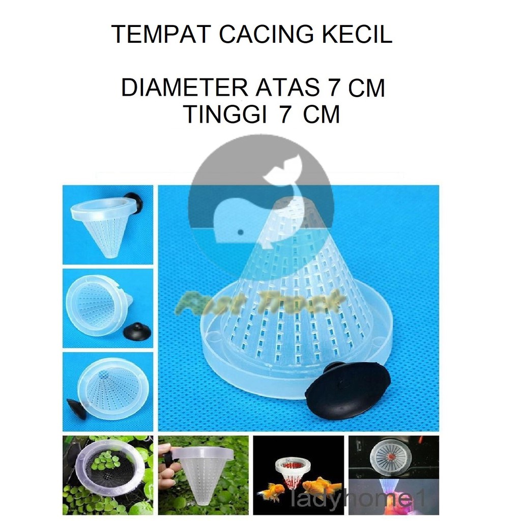 TEMPAT CACING KECIL PER SATUAN UKURAN 7 X 7 CM