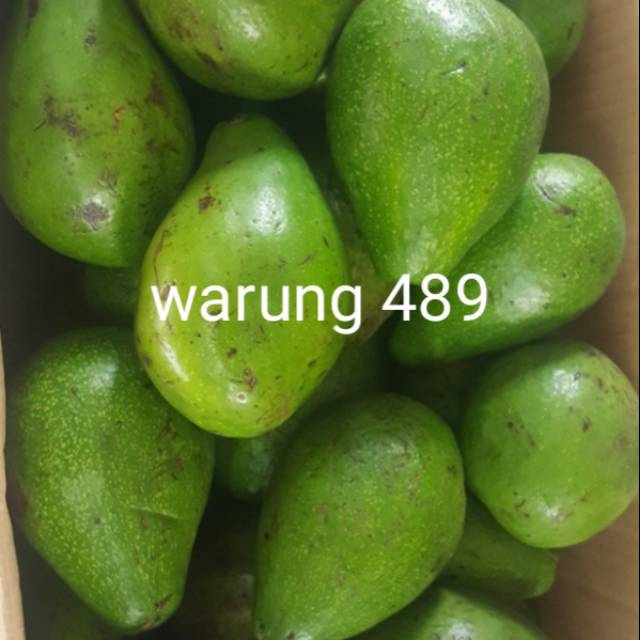 

Buah Alpuket