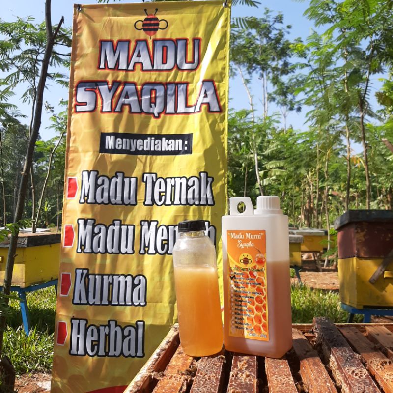 

MADU MURNI 100% ASLI LOLOS UJI LAB | RAW HONEY | MADU MENTAH | MADU SYAQILA | MADU SYAQILA BY CHAESA