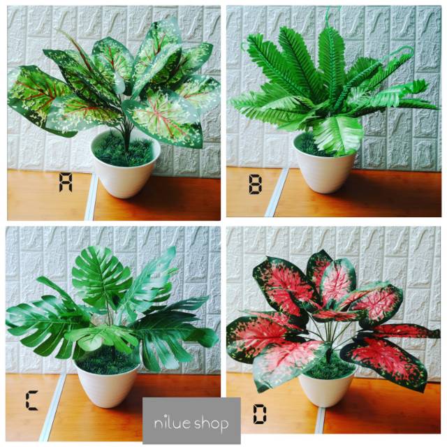 Artificial Tanaman aglonema +pot plastik tawon