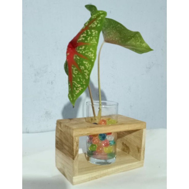 wooden vase/pot kayu/dekorasi meja/tempat pensil kayu