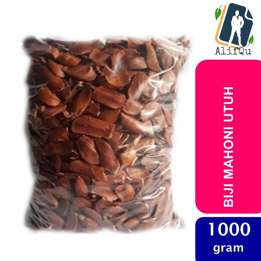 

Biji Mahoni Utuh 1000 gram