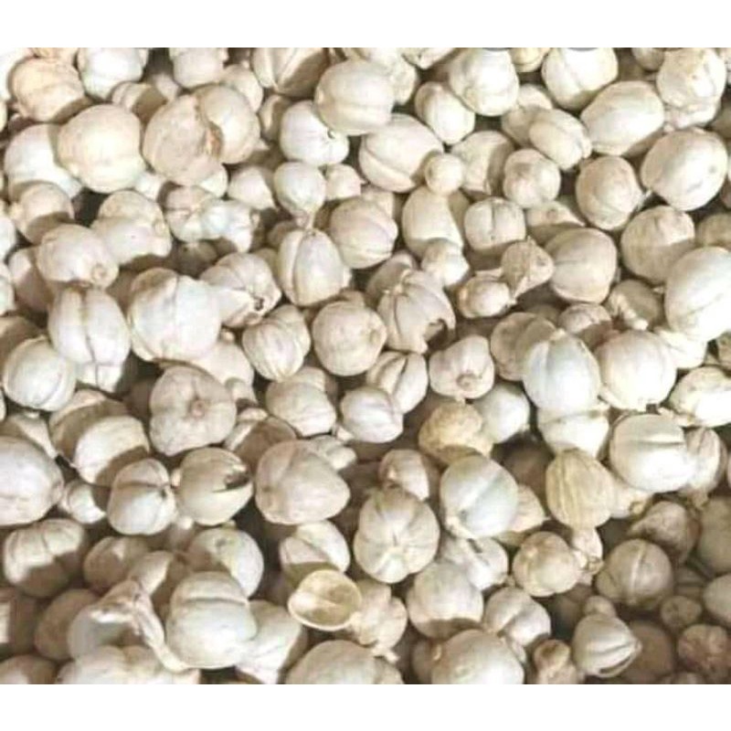 

kapolaga kering super 100grm