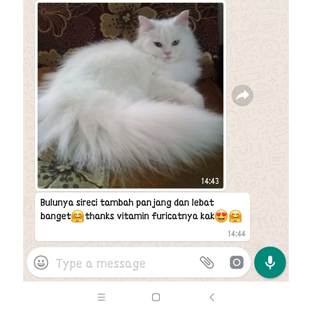 Furicat Vitamin Obat Kucing Mempertebal Bulu Kucing Mencegah Bulu Kucing Rontok Cat Food Shopee Indonesia