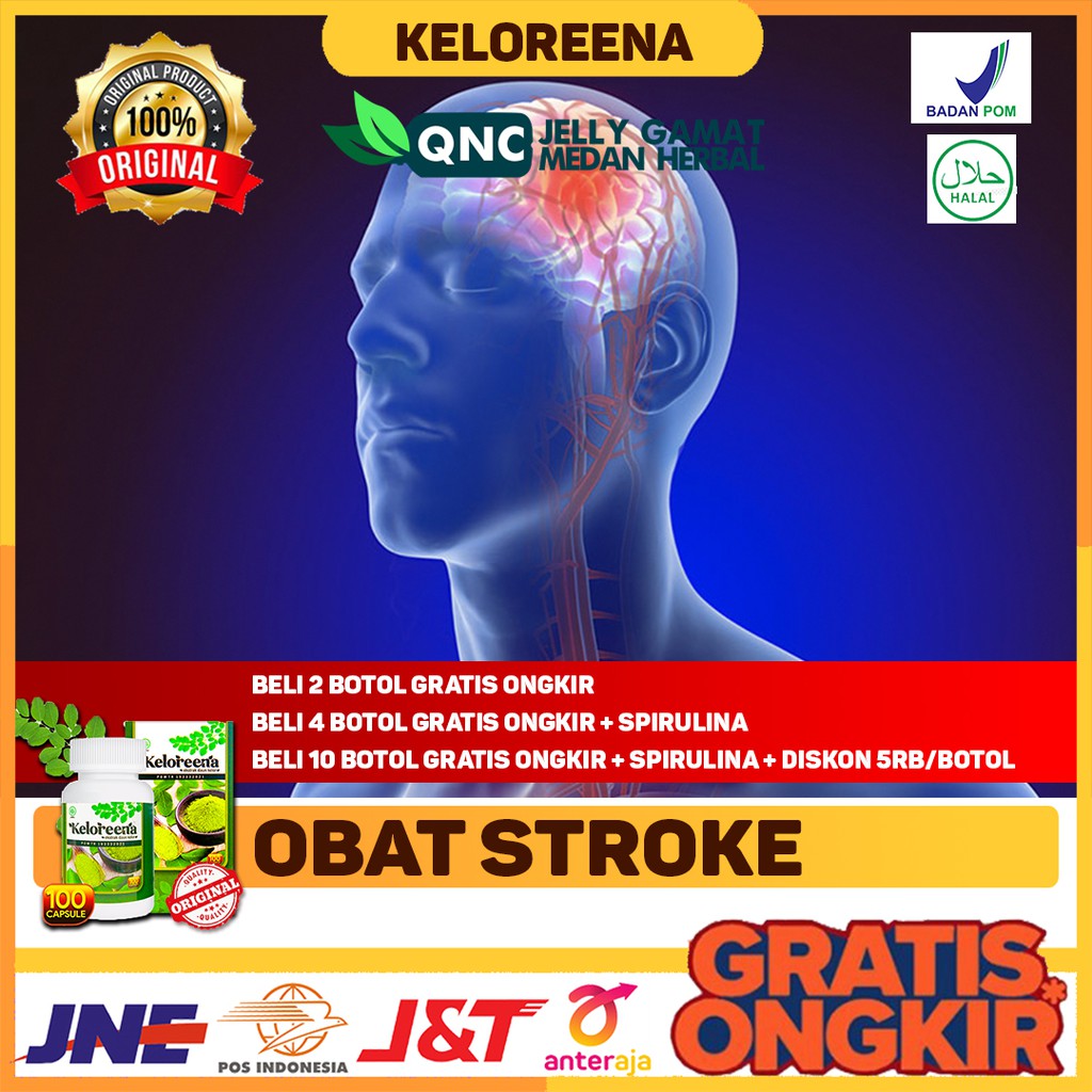 Jual Obat Herbal Stroke Obat Herbal Stroke Ringan Obat Herbal Stroke