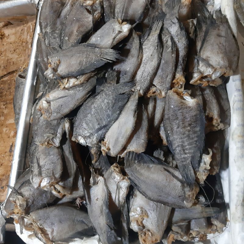 

Ikan Asin Sepat 1/4kg (250g)