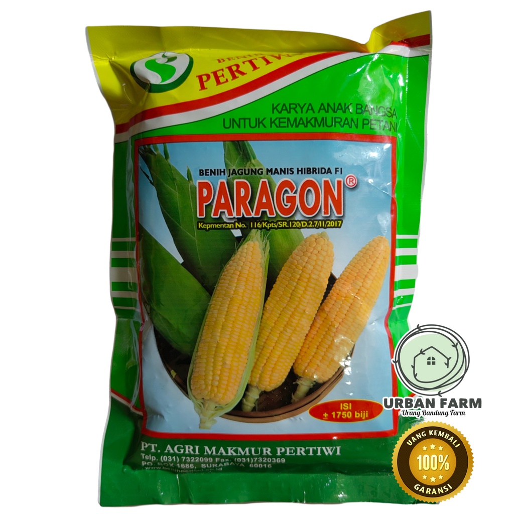 Jagung Manis PARAGON 250gram / Jagung Pertiwi
