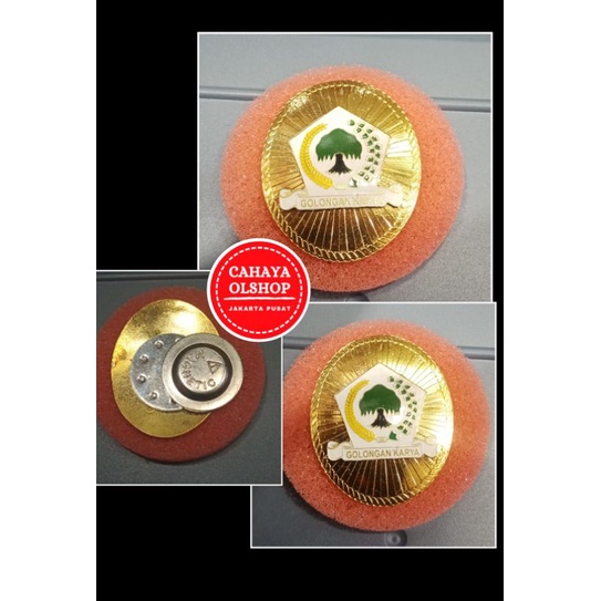 

PIN PARTAI GOLKAR