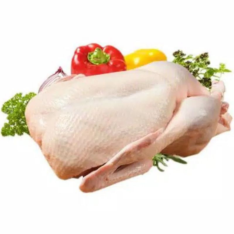 

Bebek Utuh / Ukuran Kecil - Sedang