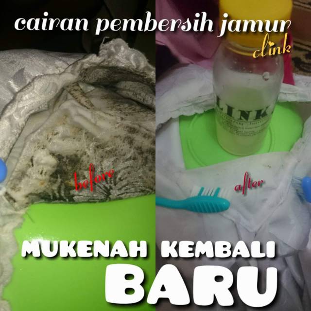 Pembersih jamur super ampuh 80 mil