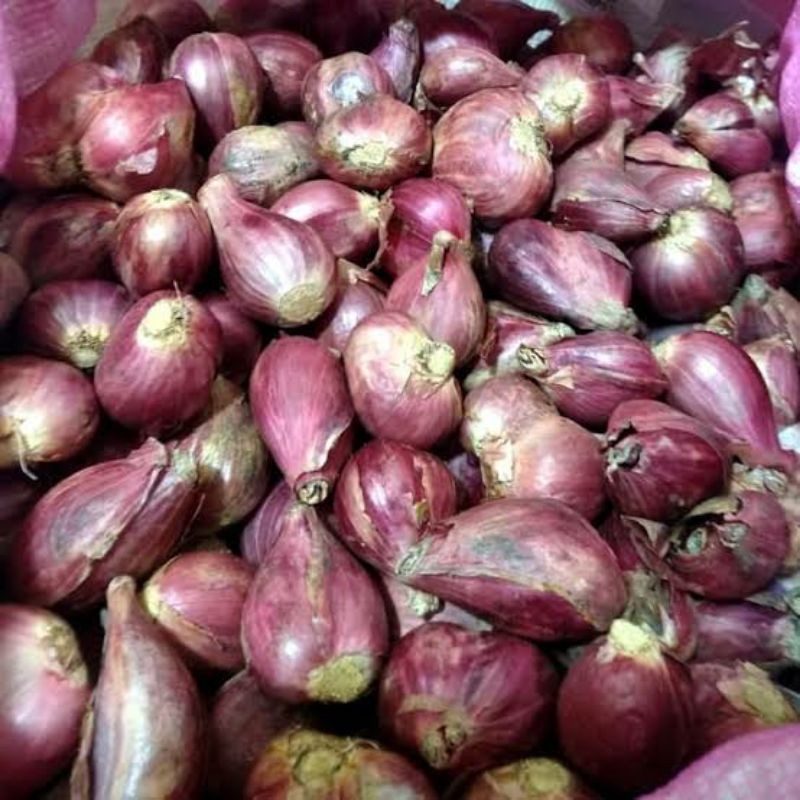 

BAWANG MERAH BREBES 1/2KG