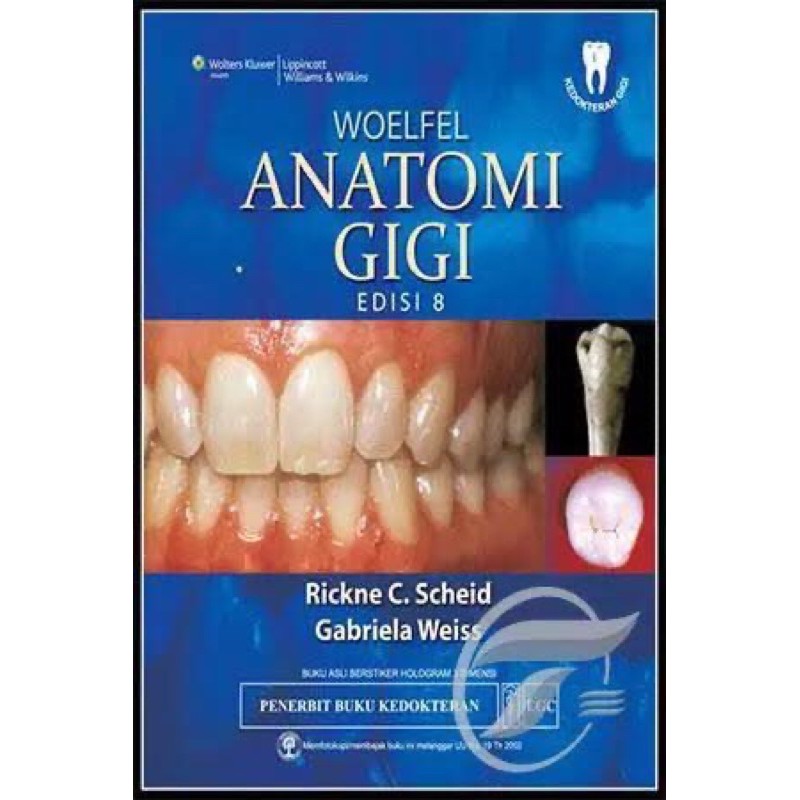 woelfel anatomi gigi