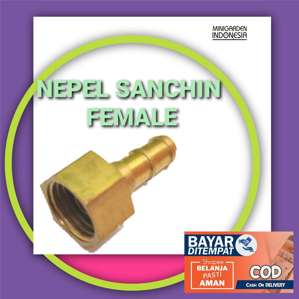 NEPEL SANCHIN FEMALE 14MM selang 5/16 sambungan steam sancin cewek hose Joint betina irigasi taman