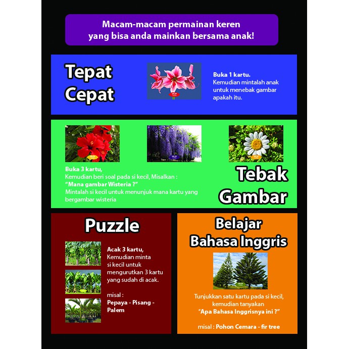 [1KG=10PCS] Konsep Flashcard Tanaman / Flash Card / Mainan Edukasi Kartu Pintar Anak