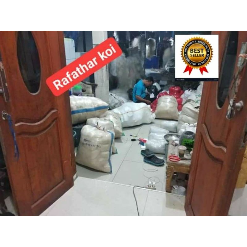 filter kolam jaring nelayan ikan koi ikan nila pengganti isi 2,3kg