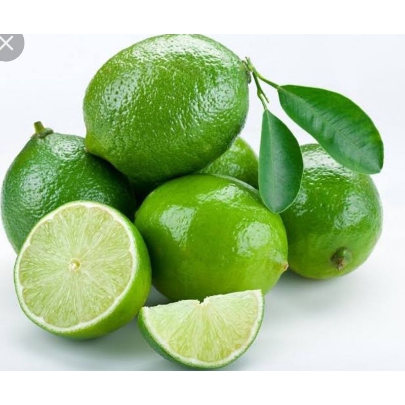 

Jeruknipis