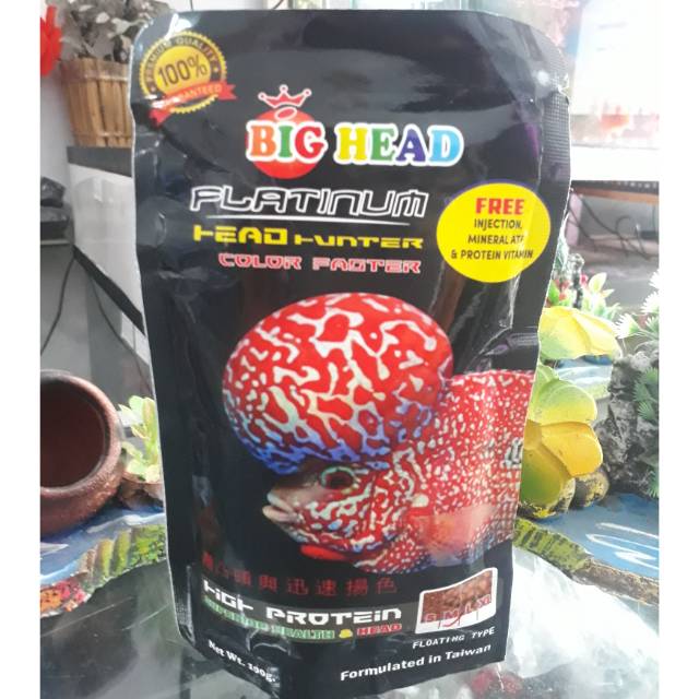 Jual Bighead Platinum Bighead Hitam Makanan Ikan Louhan Pakan