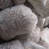 

bigar bambu / tian zhu huang sumatera 1 kg