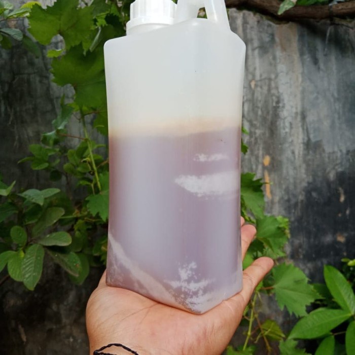 

madu- madu sumbawa premium -madu.