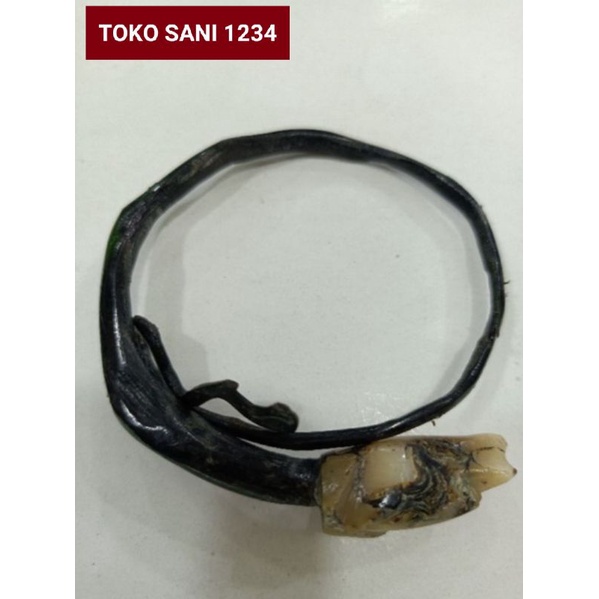 Gelang akar Bahar asli Kalimantan