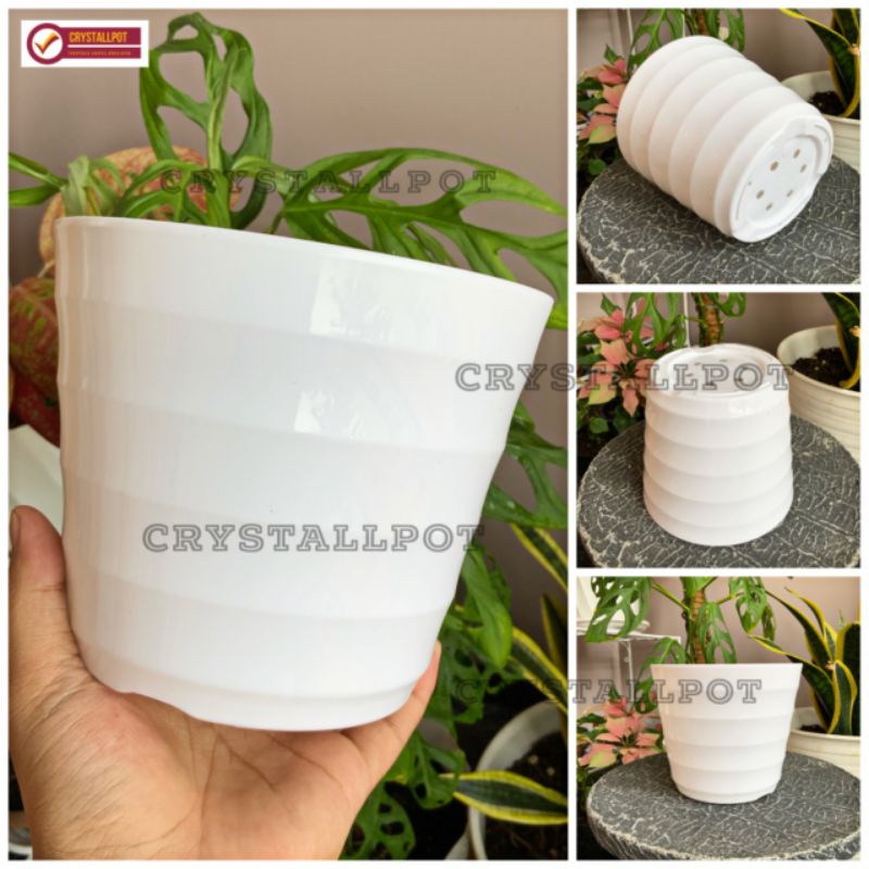 pot bunga tanaman Mado putih 16cm - lovenia 8018