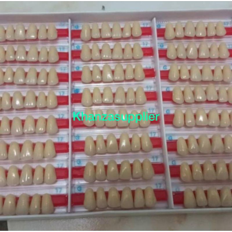 Gigi Palsu / Gigi acrylic Italdent Anterior upper/ depan atas 1 box isi 24 set (boleh campur)