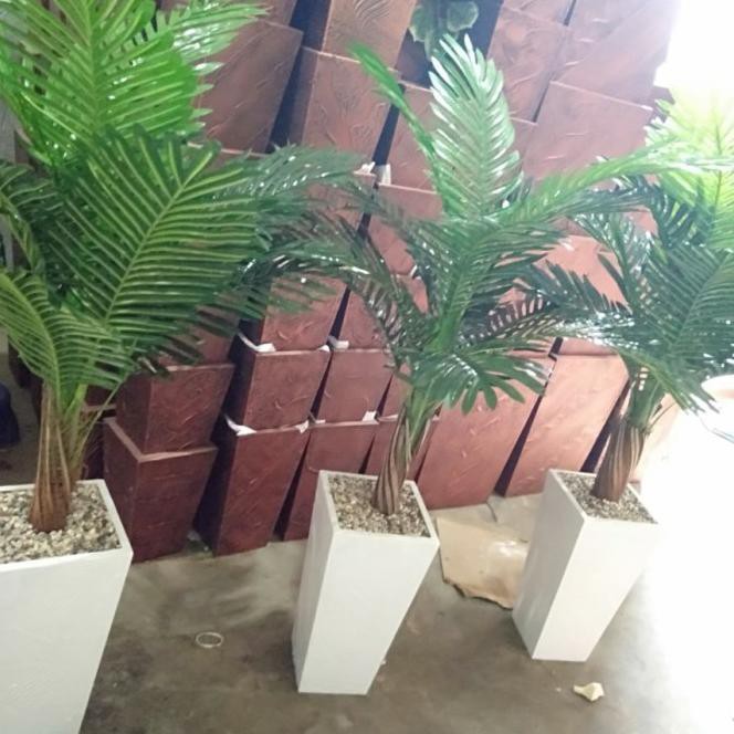 Pohon Bunga Hiasan Ruang Tamu Pojokkan Besar Palem Dekorasi Ruang Tamu