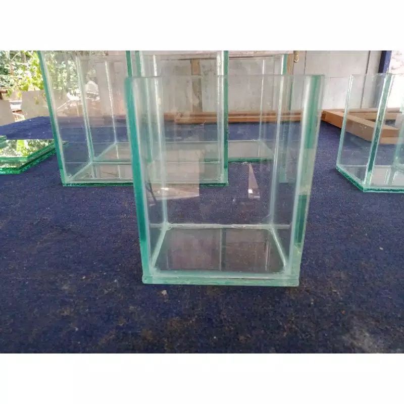 Soliter kaca ikan cupang dan gepy ukuran 10x10x15