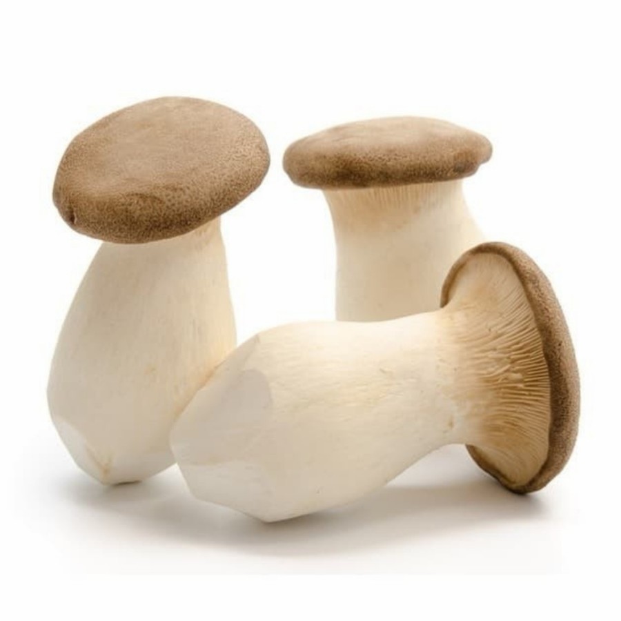 

LOLA Langsung Order Langsung Antar Jamur Mini King Oyster Mushroom 1 pack 200 gr