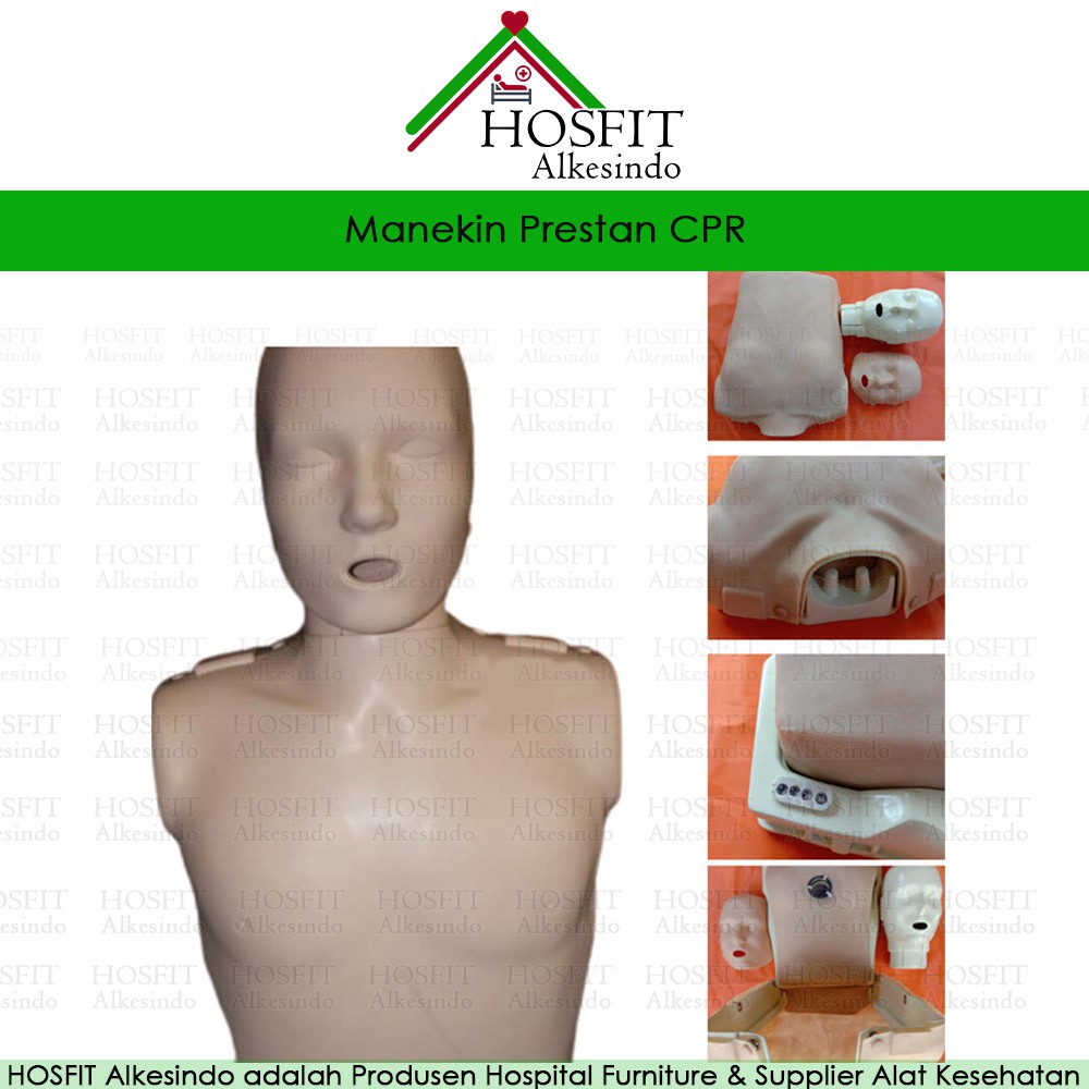 Manekin Prestan CPR - Manekin Prestan CPR Lokal