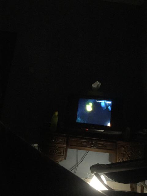 Paling Murah Se-shopee Drawing Board Meja Belajar Edukatif