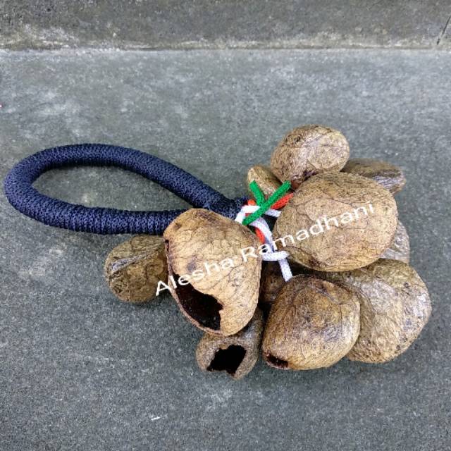 Alat Musik Marakas Kluwek Rencek