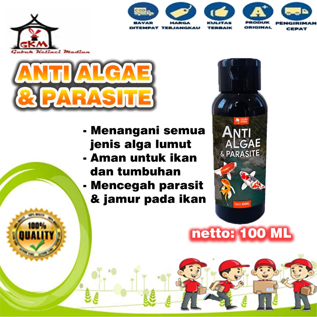 Anti Algae dan Parasit Obat Lumut Alga Remover Kolam dan Aquarium 100 ML