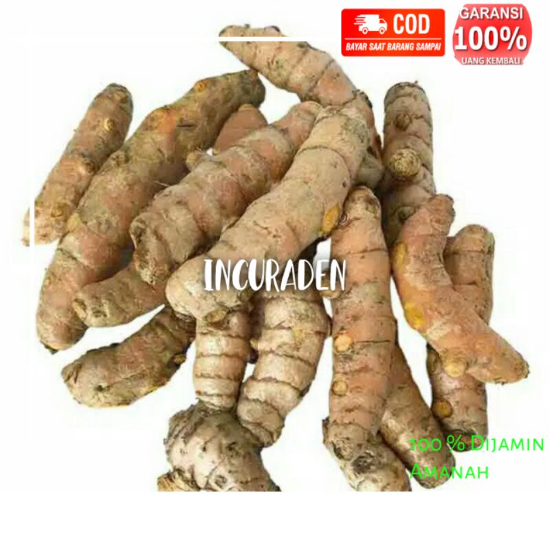 

UBI KUYIT EMPIT /UBI KONENG 500Gram