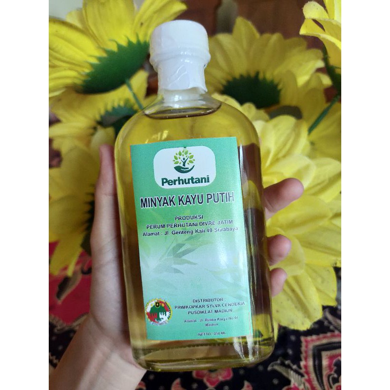 Minyak Kayu Putih Perhutani Asli